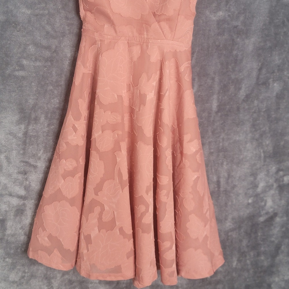 Lulus Days of Beauty Skater Dress XS Pink Burnout Floral Surplice V-Neck Mini - Picture 3 of 12